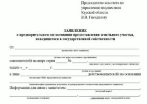 Образец заявления о предварительном согласовании земельного участка 2020