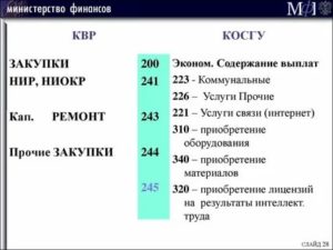 244 Квр Косгу 343 В 2020 Году Бюджетная Классификация