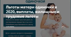 Программа Для Матерей Одиночек В 2020 Году