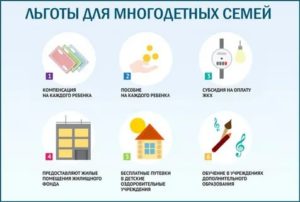 Сколько Компенсируют На Квартплату Для Многодетных Семей В Московской Области