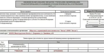 Отчет 2 тп за 2020 год кто должен сдавать