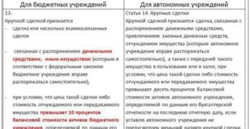 Крупная сделка для бюджетного учреждения в 2020 году